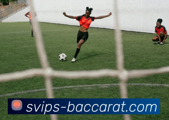 百家乐官网平台生态图