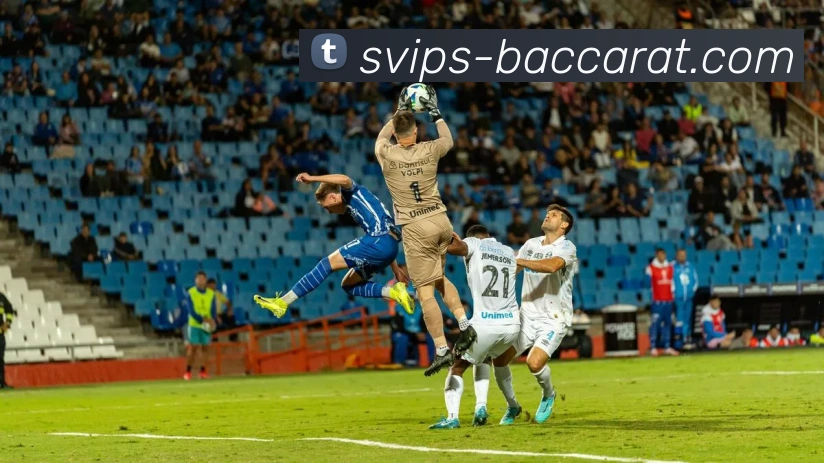 百家乐官网APP 封面图